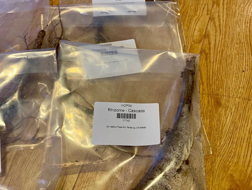 Brewing Supply Store «Grape & Grains», reviews and photos, 104 Mauldin Rd A, Greenville, SC 29605, USA