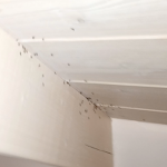 Photo n°4 de l'avis de José.� fait le 21/07/2021 à 09:28 sur le  Downtown Alegria à Tavira