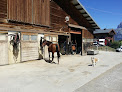 Le Cheval de Feug - Duvillard François & Florian Demi-Quartier