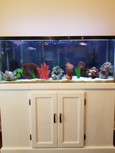 Pet Store «Exotic Fish», reviews and photos, 406 Northside Dr # F, Valdosta, GA 31602, USA