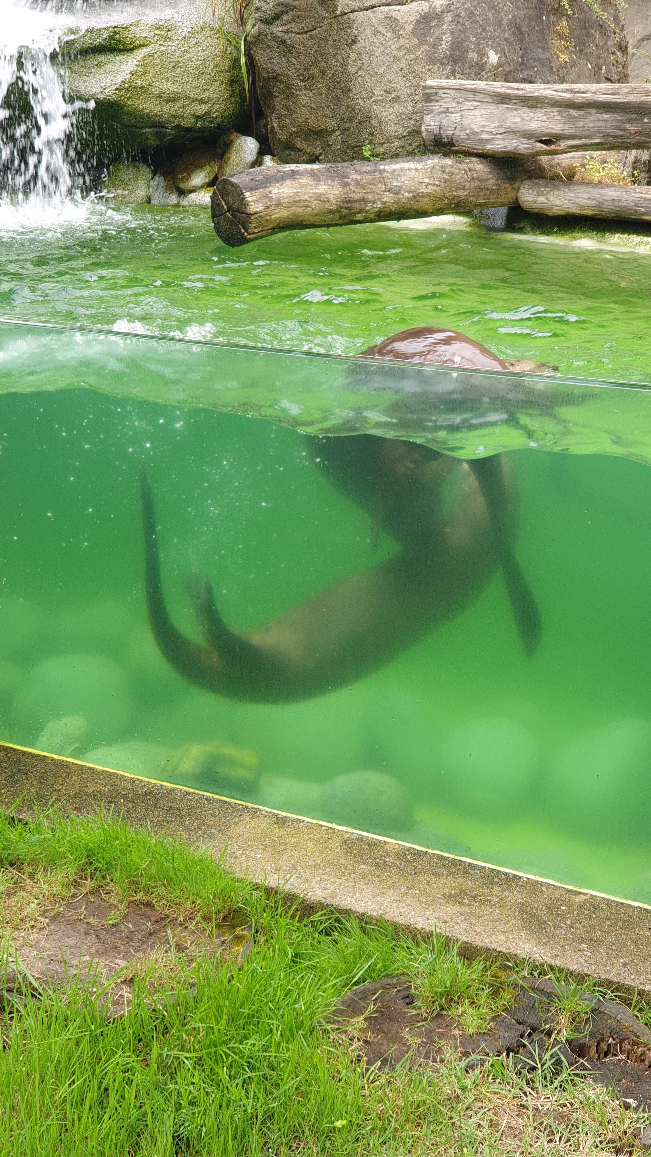 Photo n° 6 de l'avis de frédéric.e fait le 21/07/2022 à 14:28