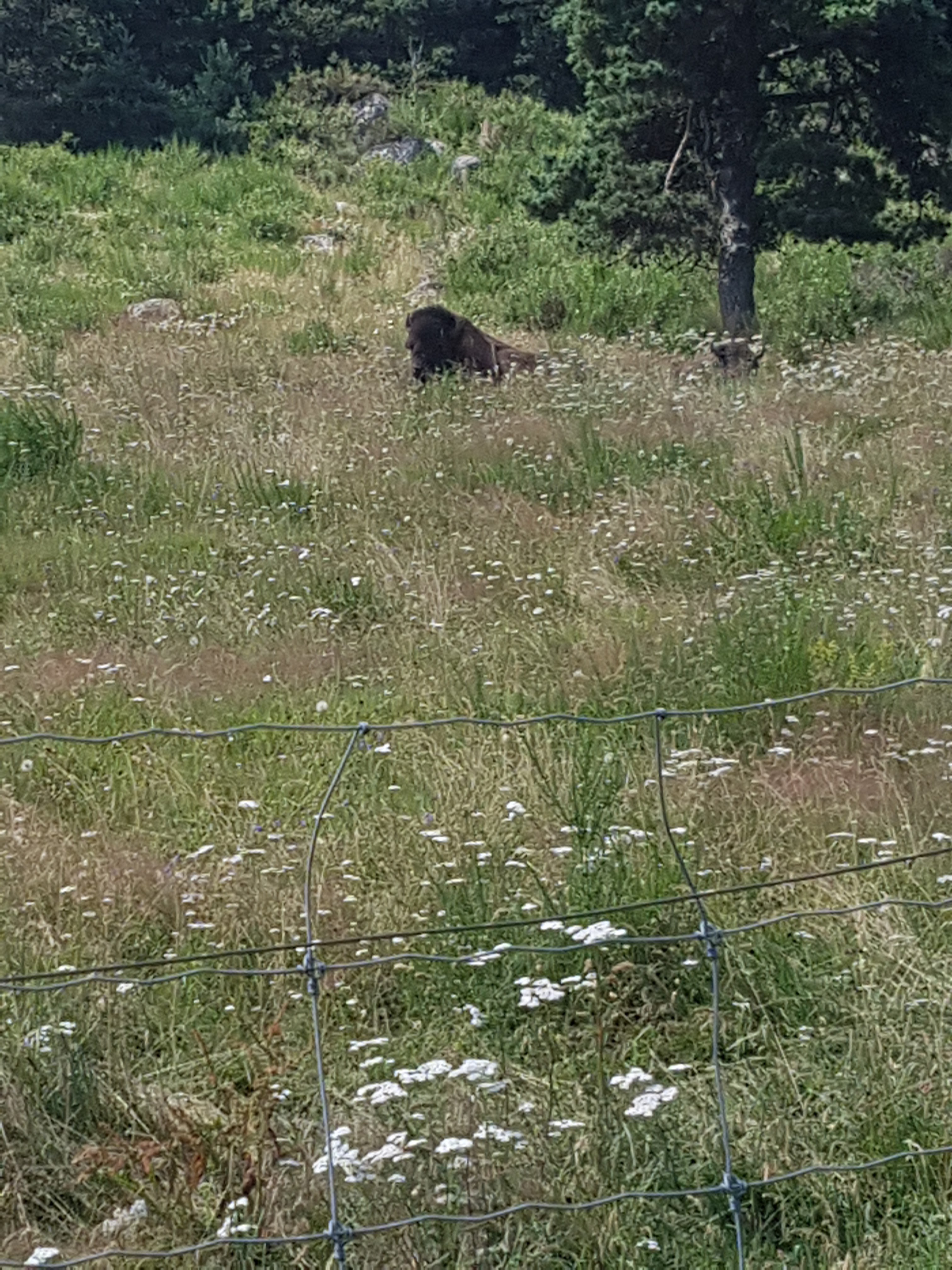Photo n° 18 de l'avis de Mick.u fait le 26/07/2018 à 19:41