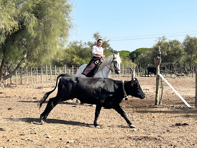 L'Escapade de Camargue Le Grau-du-Roi