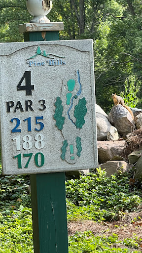 Golf Course «Pine Hills Golf Club», reviews and photos, 433 W 130th St, Hinckley, OH 44233, USA
