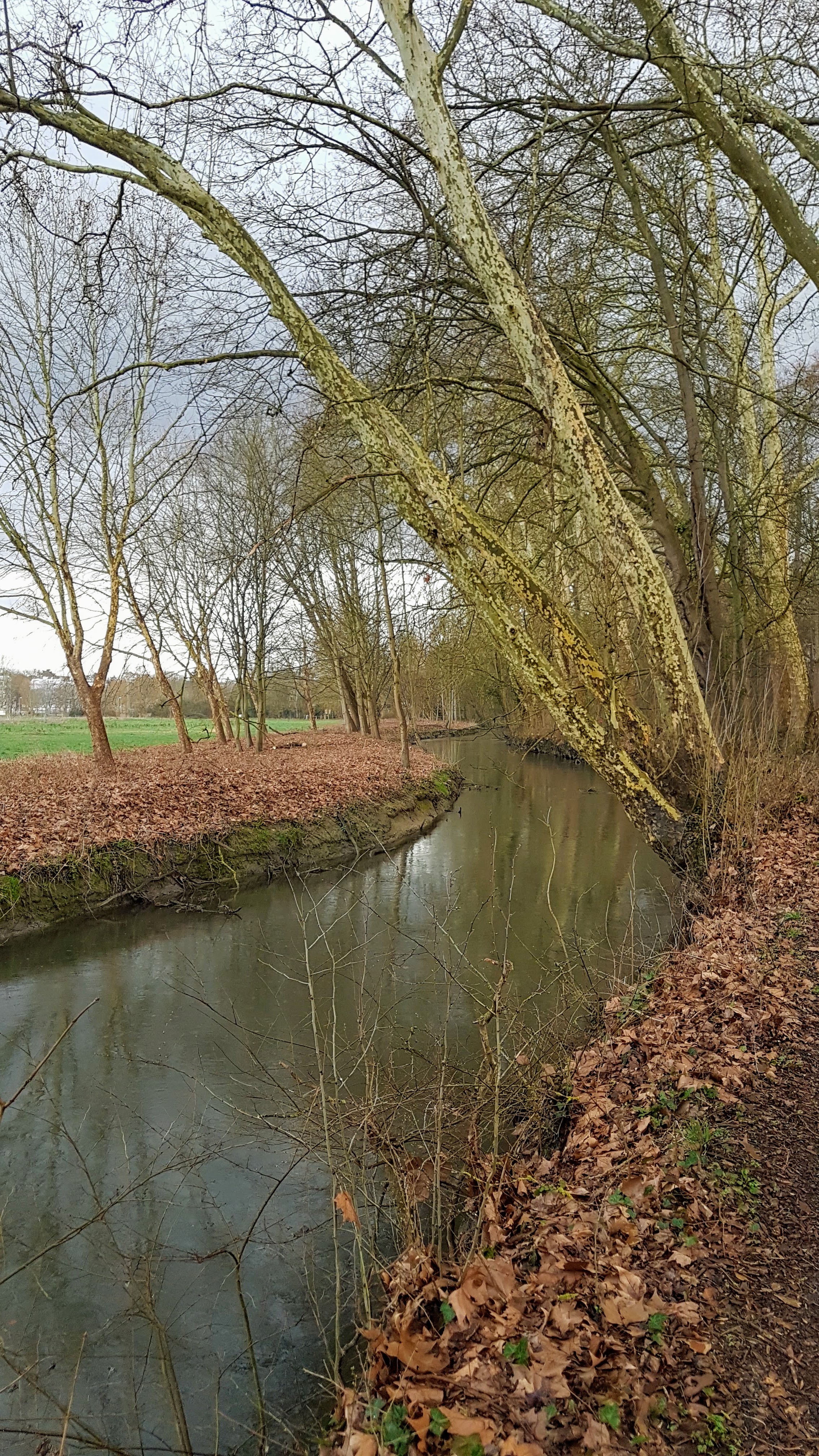 Photo n° 26 de l'avis de Jean-marie.o fait le 06/03/2019 à 12:51