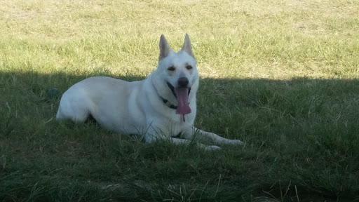 Park «Culebra Creek Park», reviews and photos, 10919 Westwood Loop, San Antonio, TX 78254, USA