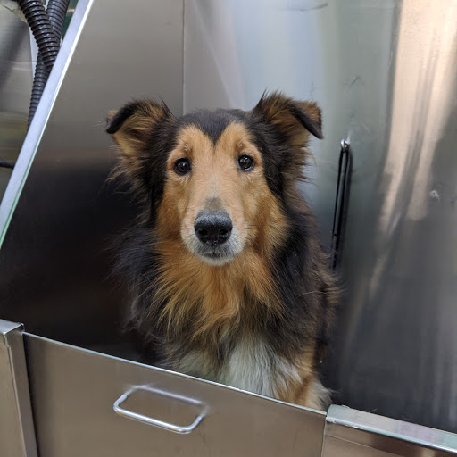 Pet Supply Store «Pet Supplies Plus», reviews and photos, 254 S Illinois Ave, Oak Ridge, TN 37830, USA