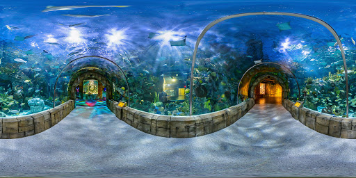 Aquarium «Audubon Aquarium of the Americas», reviews and photos, 1 Canal St, New Orleans, LA 70130, USA