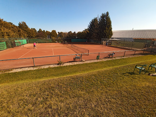 Tennisvereine Mannheim