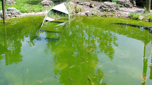 Amusement Park «Gatorland», reviews and photos, 14501 S Orange Blossom Trail, Orlando, FL 32837, USA