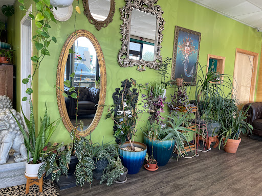 Explore first tattoo ideas for women, creative tattoo ideas in Tulsa, available at Brookside Body Piercing Tattoo