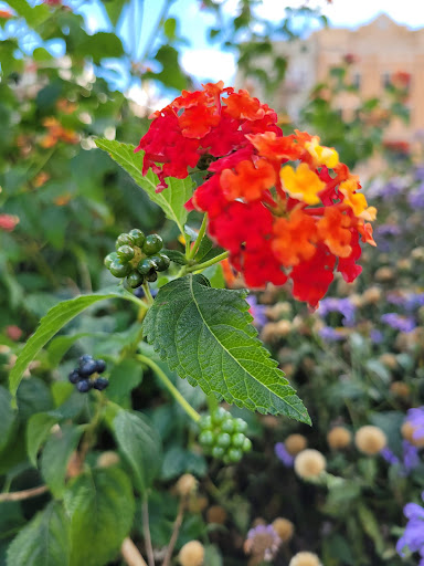 Park «Van Der Donck Park», reviews and photos, 41 Dock St, Yonkers, NY 10701, USA