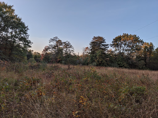 Park «Runnymede Park», reviews and photos, 195 Herndon Pkwy, Herndon, VA 20170, USA