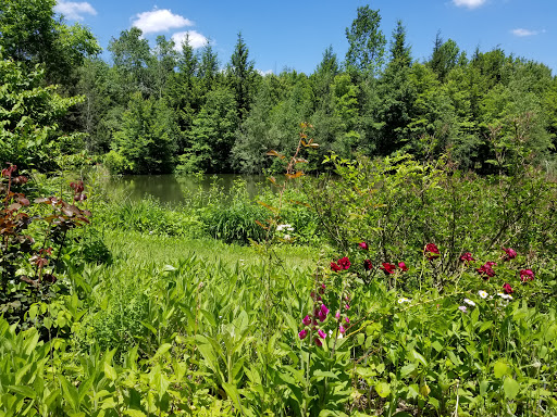 Gift Shop «Stonehedge Gardens», reviews and photos, 51 Dairy Rd, Tamaqua, PA 18252, USA