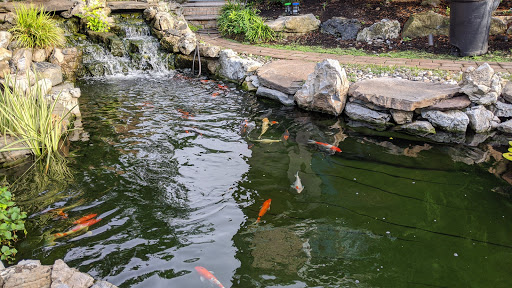 Park «Kissena Park», reviews and photos, 164-15 Booth Memorial Ave, Fresh Meadows, NY 11365, USA