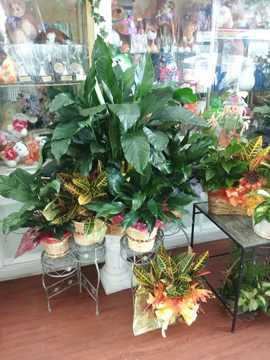Florist «Send Your Love Flowers & Balloons», reviews and photos, 1417 SW Military Dr, San Antonio, TX 78221, USA