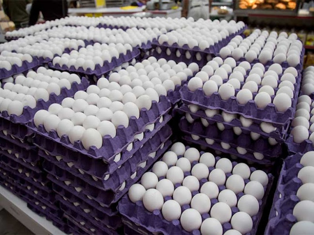 Distribuidora de huevos talca - Lanco
