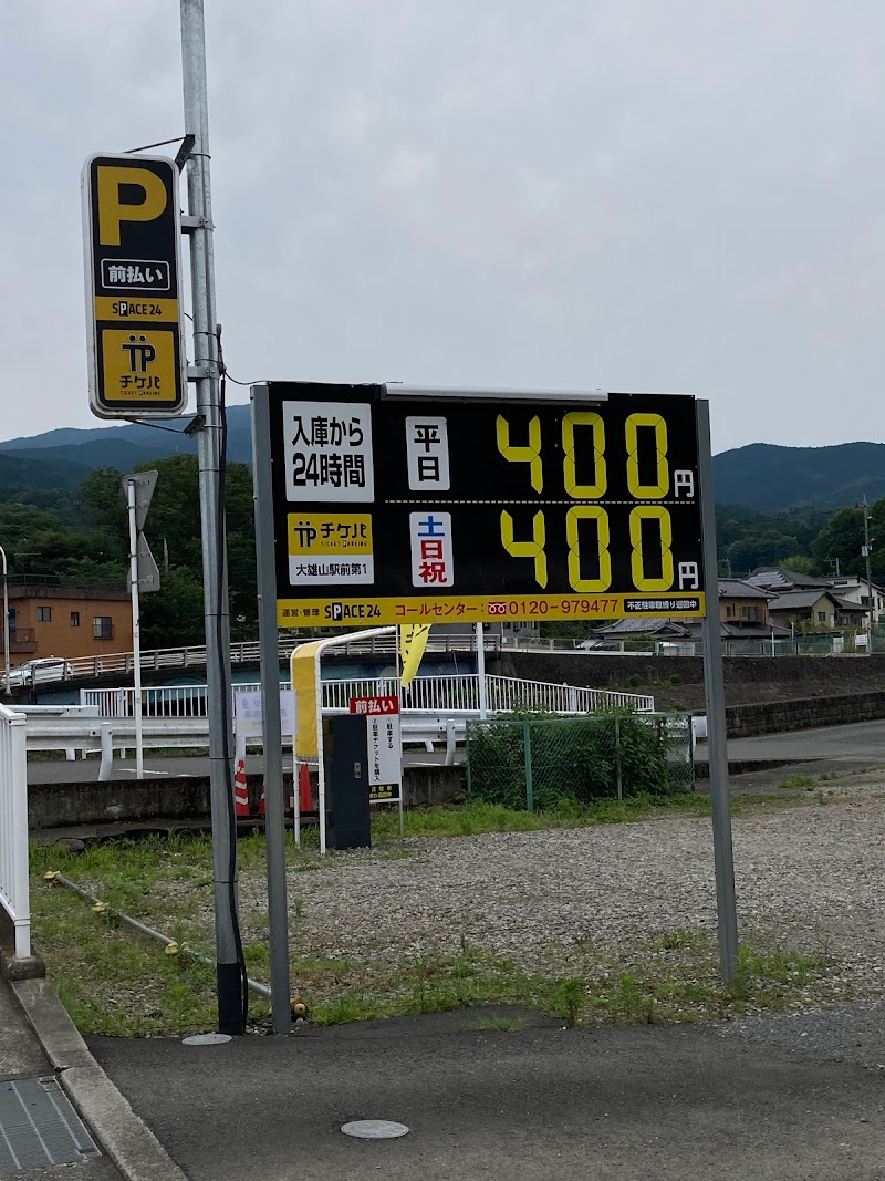 チケパ 大雄山駅前第1