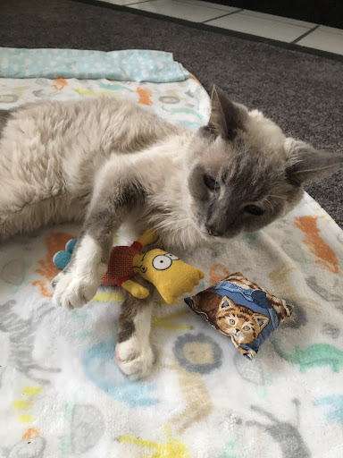 36512 FL-54, Zephyrhills, FL 33541, USA