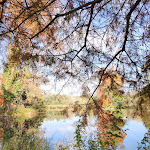 Photo n° 4 de l'avis de Frederic.O fait le 03/11/2022 à 09:43 pour Domaine départemental de Chamarande à Chamarande