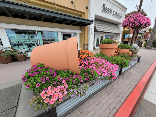 Shopping Mall «Flower Hill Promenade», reviews and photos, 2720 Via De La Valle, Del Mar, CA 92014, USA