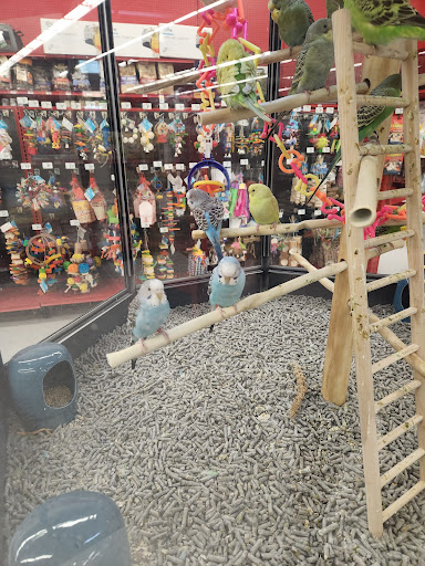 Pet Supply Store «Petco Animal Supplies», reviews and photos, 200 Edwards Blvd b, Lake Geneva, WI 53147, USA