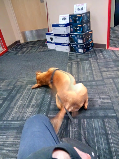 Car Stereo Store «Car Toys», reviews and photos, 810 Front St N, Issaquah, WA 98027, USA