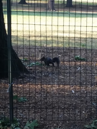 Park «Claremont Park», reviews and photos, Clay Ave & E. 170 St, Bronx, NY 10457, USA