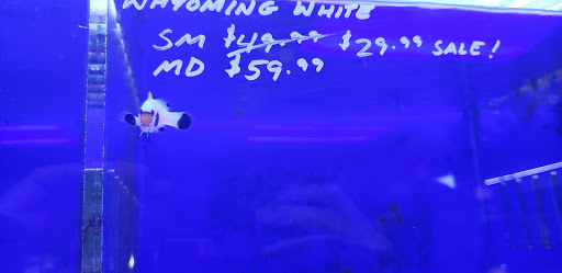 Tropical Fish Store «Ultimate Reefs & Aquariums», reviews and photos, 6020 S Memorial Dr, Tulsa, OK 74145, USA