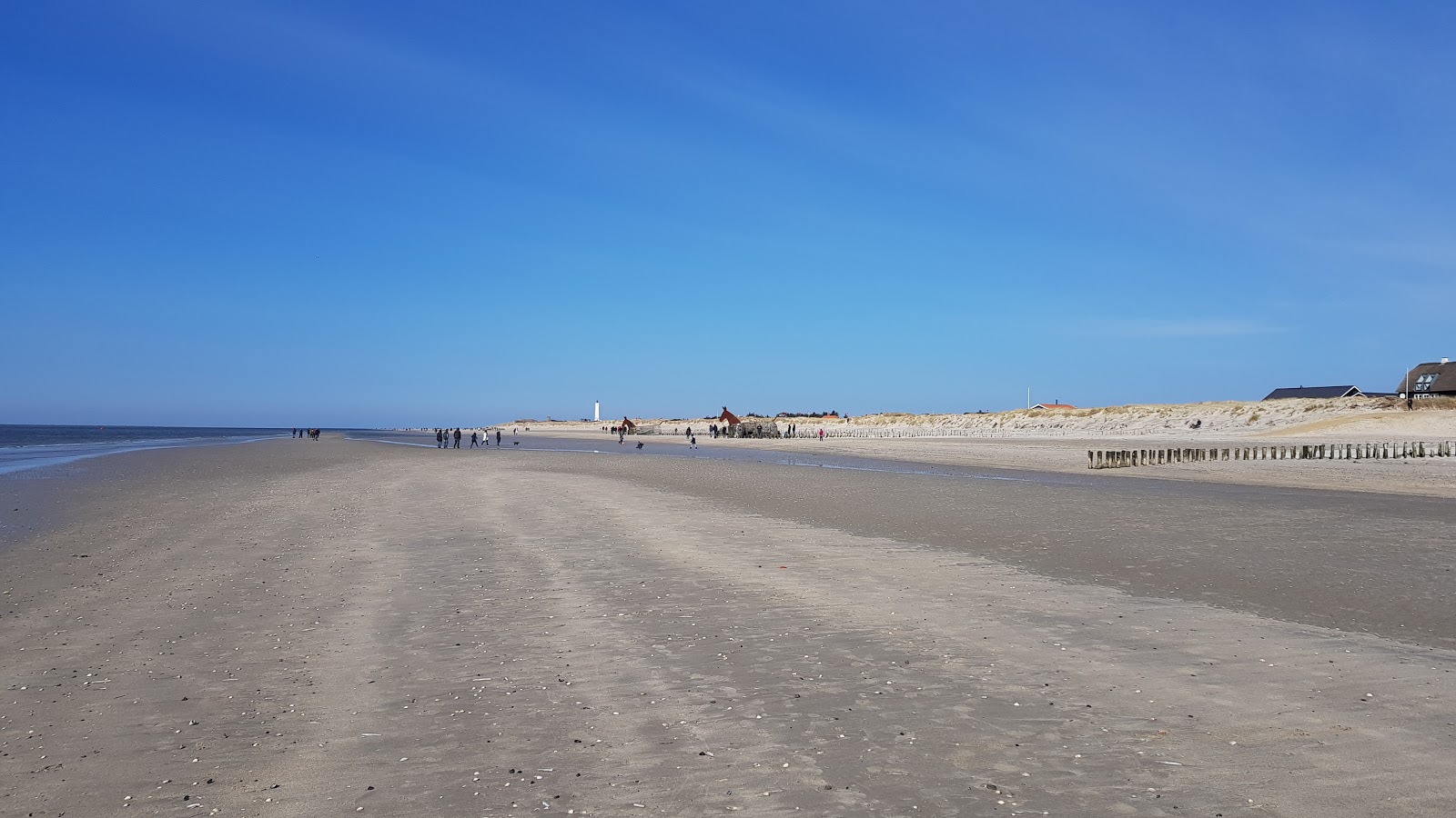 Fotografija Blavandshuk Beach priljubljeno mesto med poznavalci sprostitve