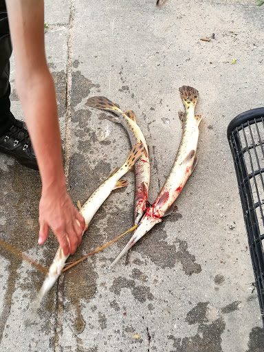 Tourist Attraction «Fish Ladder Park Grand Rapids», reviews and photos, 560 Front Ave NW, Grand Rapids, MI 49504, USA