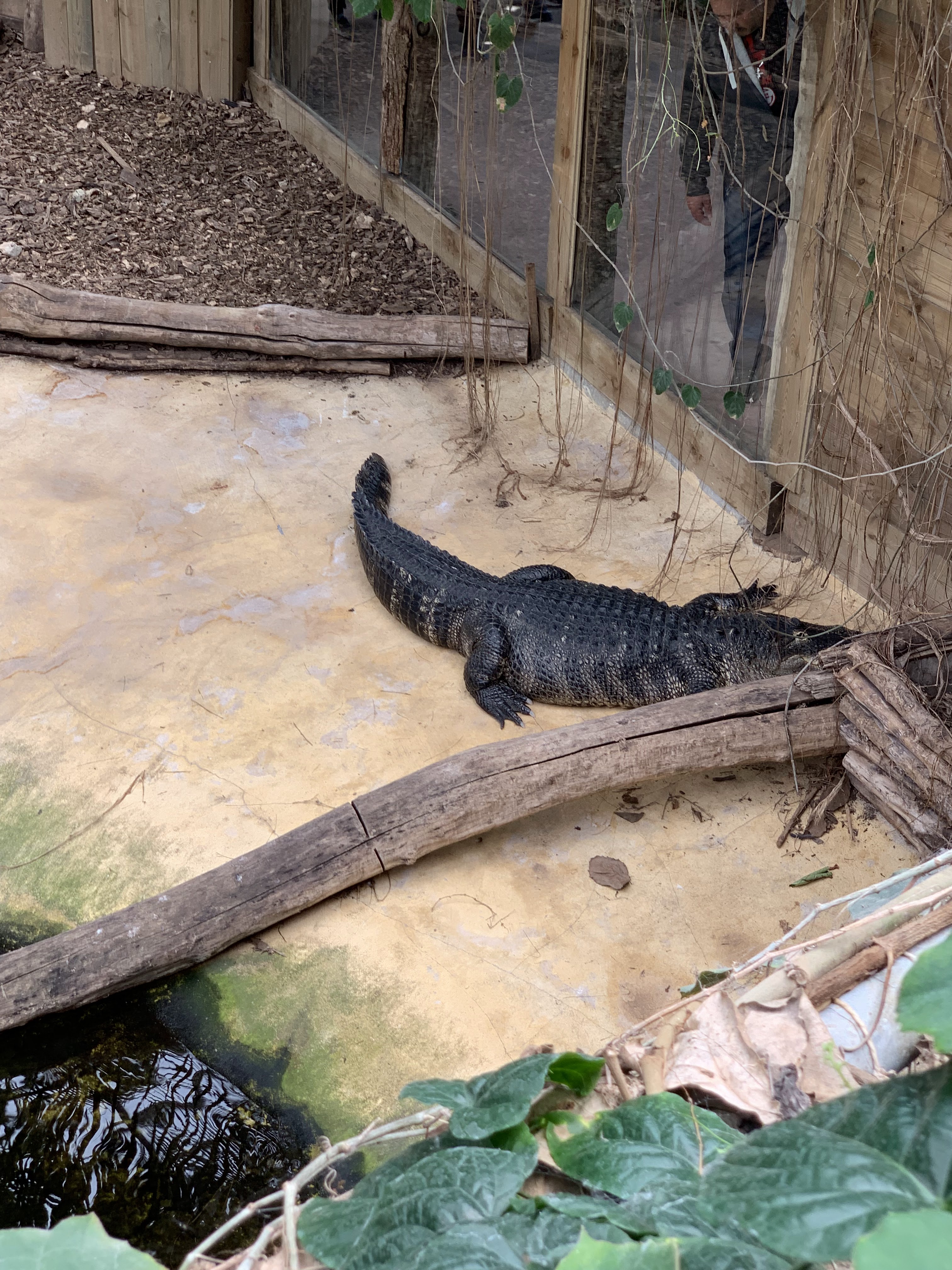 Photo n° 25 de l'avis de Angie. fait le 15/05/2019 à 11:27