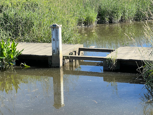 Nature Preserve «DuPont Environmental Education Center of Delaware Nature Society», reviews and photos, 1400 Delmarva Ln, Wilmington, DE 19801, USA