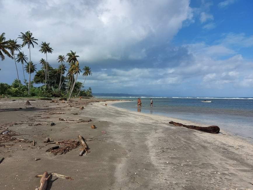 Foto van Playa Barigua - goede huisdiervriendelijke plek voor vakantie