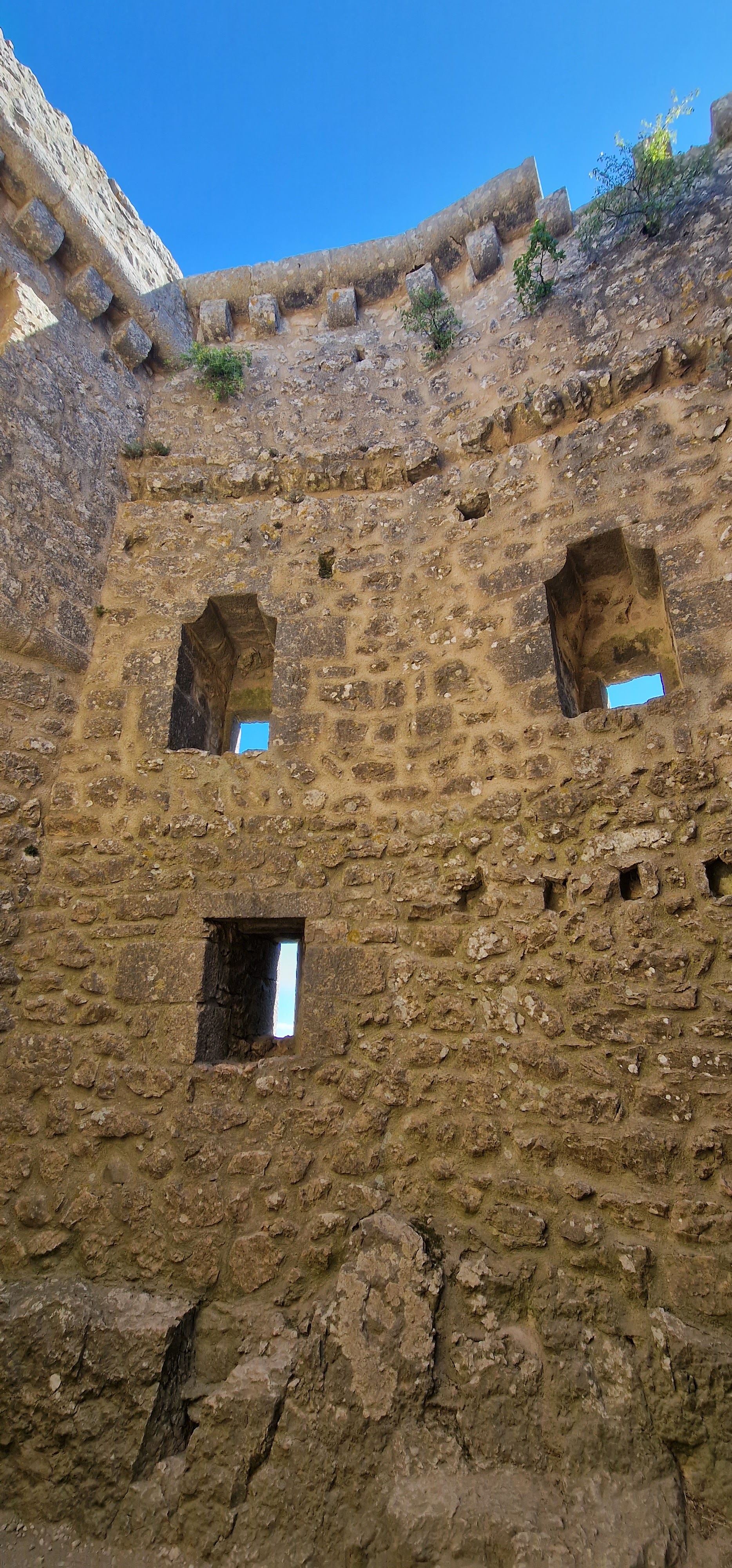 Photo n° 9 de l'avis de Enzo.N fait le 21/08/2022 à 19:53