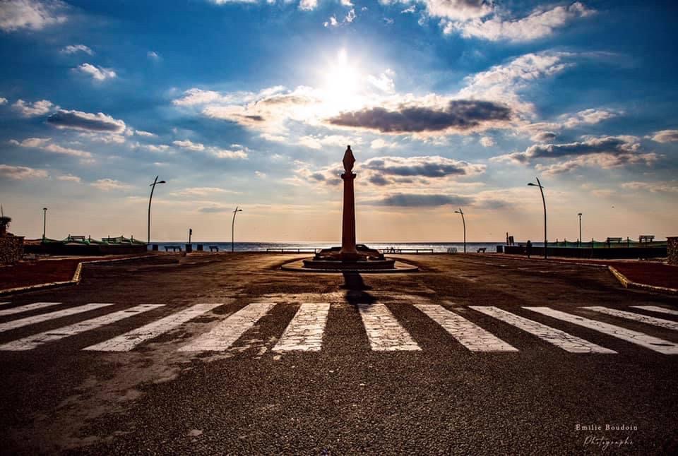 Photo n° 1 de l'avis de Brun.e fait le 09/07/2023 à 07:29