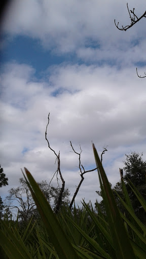 Nature Preserve «Rye Preserve», reviews and photos, 905 Rye Wilderness Trail, Parrish, FL 34219, USA