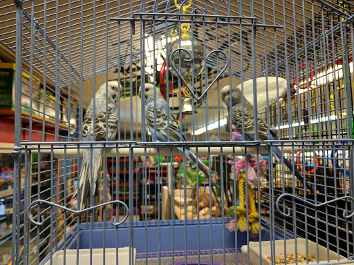 Pet Store «Forest Lake Pets», reviews and photos, 120 Lake St N, Forest Lake, MN 55025, USA