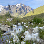 Photo n°3 de l'avis de Alexander.l fait le 12/08/2023 à 10:16 sur le  Rifugio Pizzini - CAI Milano à Valfurva