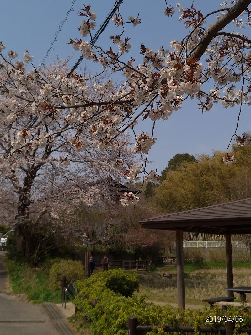 水生植物鑑賞池 神奈川県川崎市宮前区初山 自然保護公園 公園 グルコミ