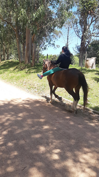 Alquiler de caballos, Silvana