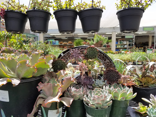 Hardware Store «Orchard Supply Hardware», reviews and photos, 5130 Mowry Ave, Fremont, CA 94538, USA