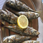 Photo n°28 de l'avis de Babette.a fait le 07/08/2022 à 17:59 sur le  Restaurante Chico Zé à Faro