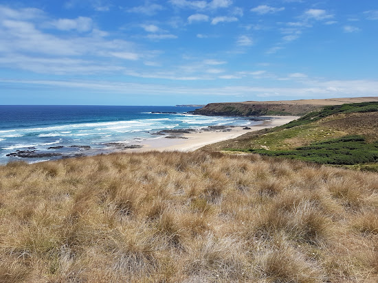 Berry Beach