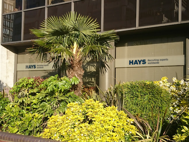 Hays Bournemouth - Employment agency