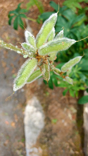 Nature Preserve «Summer Star Wildlife Sanctuary», reviews and photos, 690 Linden St, Boylston, MA 01505, USA