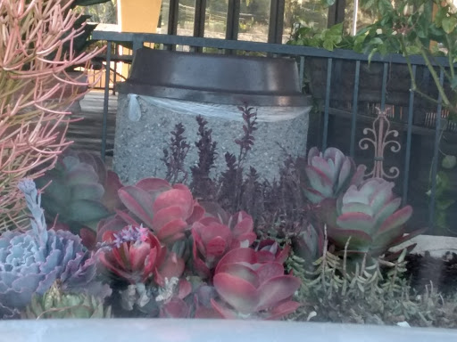 Tobacco Shop «Amsterdam Smoke Shop», reviews and photos, 5901 Warner Ave, Huntington Beach, CA 92649, USA