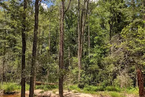 Hitchcock Woods image