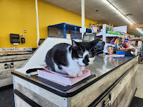 Chow Hound Pet Supplies - Photo 4 - Car repair in Grand Rapids, MI, Grand Rapids