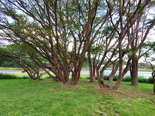 Park «Masconomo Park», reviews and photos, 60 Beach St, Manchester-by-the-Sea, MA 01944, USA